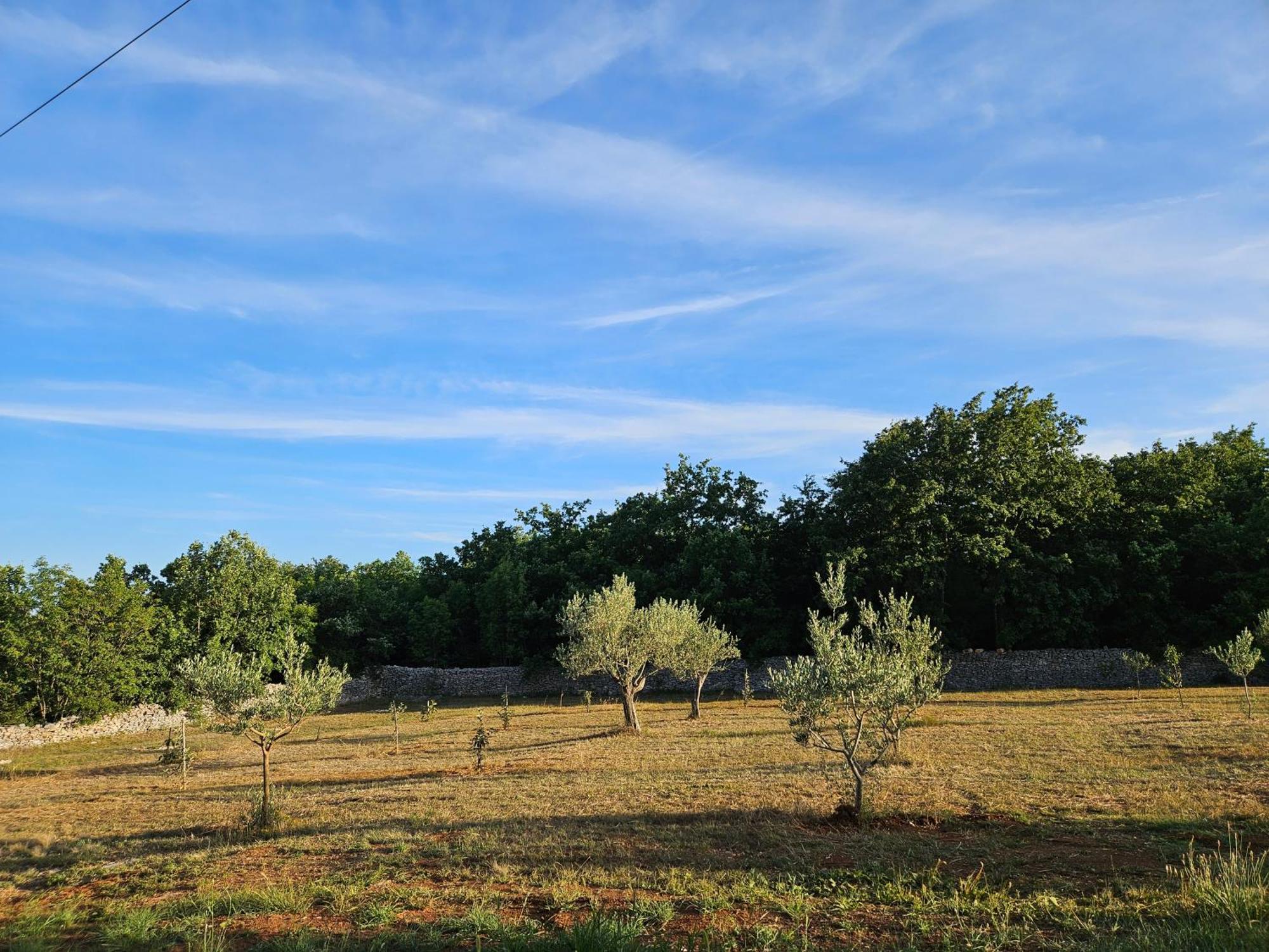 Stancija Lottegaly - Green Holiday Vodnjan Extérieur photo